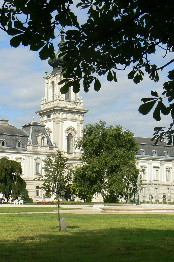 Szent Márton templom emlékfája